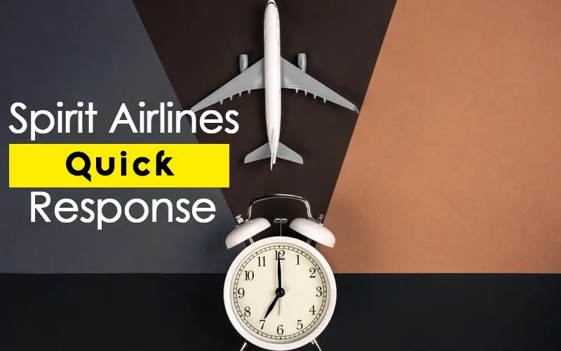 How to get Spirit to respond quickly | Complete Guide